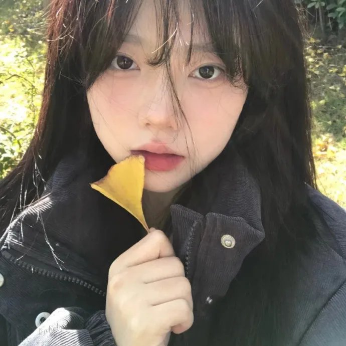 孤独之岛